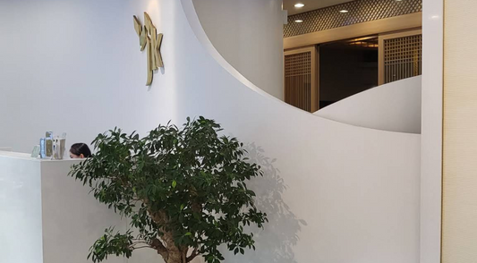 jk plastic surgery lobby